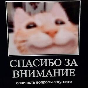 Тим мемы2