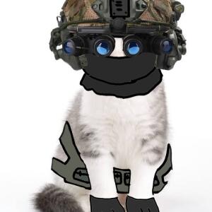 Вооруженные силы глупых котиков