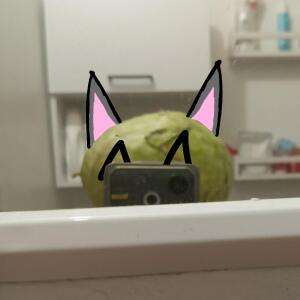 PGAMer7z (котопусто)