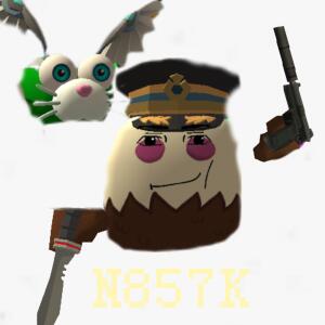 N857K АМП