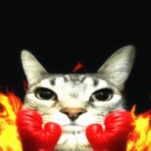 Котогусь