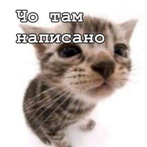Чё там написано?