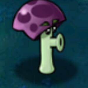 trusogrib