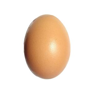 Egg