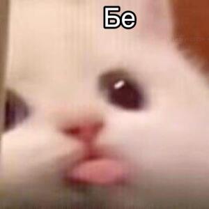 Simon_3