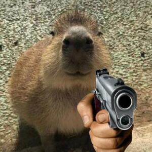 Elite capybara