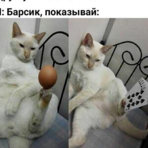 botinok ot merc