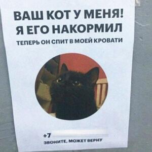 Принц чебурек