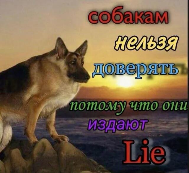 Бабушка с тростью стоит на батуте, а справа она подпрыгивает в воздухе, надпись Батут и Батам (2 из 2)