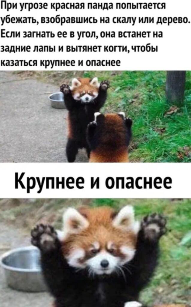 СтРаШнА