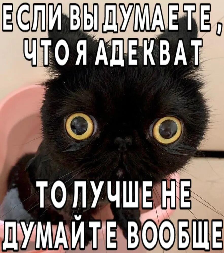 Мем от Мемный Мозг ꧁༺ 𝓑𝓔𝓑𝓔𝓟𝓛𝓜 ༻꧂
