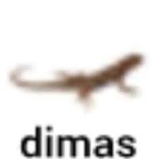 димас заметь пж
