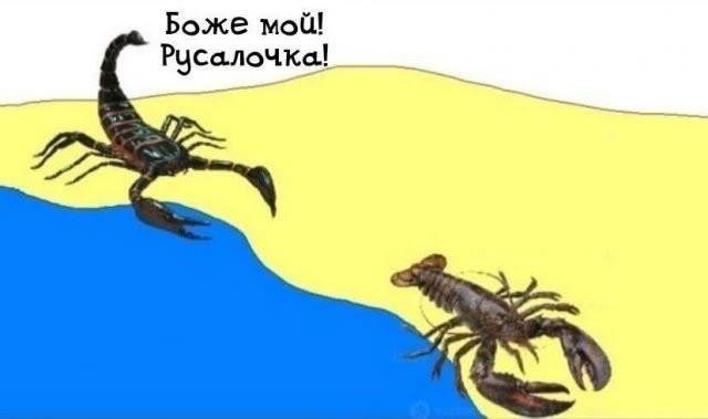 Хотите мелиниальские мемы? Ну конечно хотите!