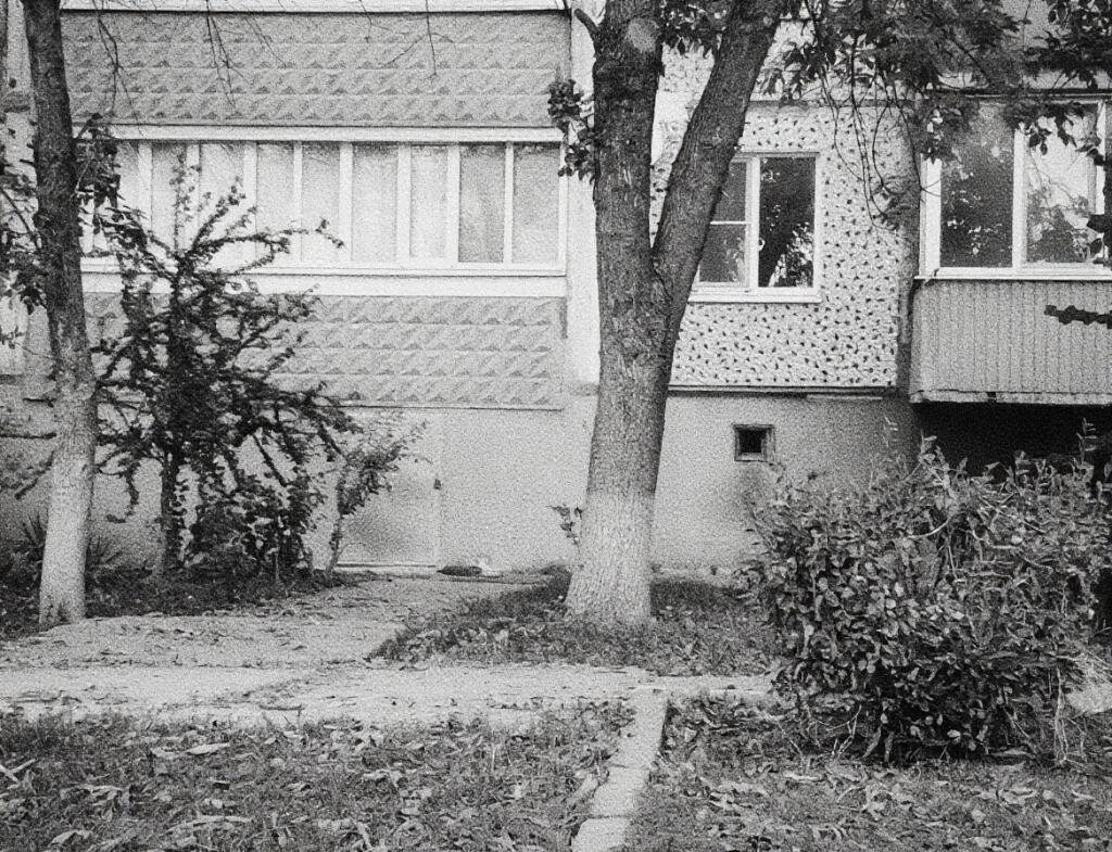 Черно-белое фото двора жилого дома с деревьями и кустами. Текст на изображении: Викторина: фото сделано в наше время или в прошлом?