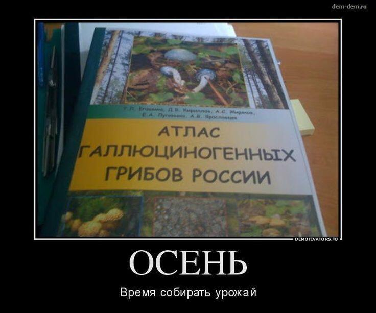 правда, сейчас зима