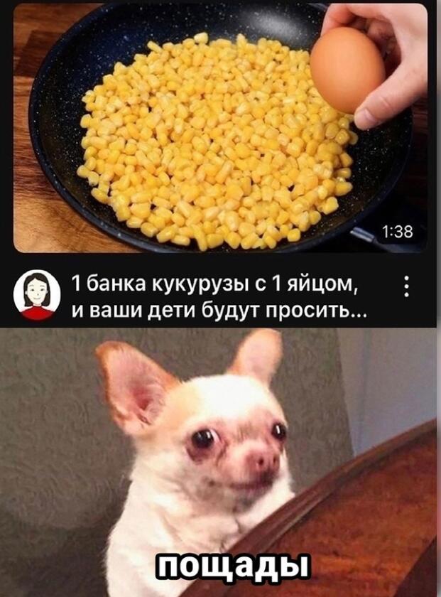 Мем без подписи