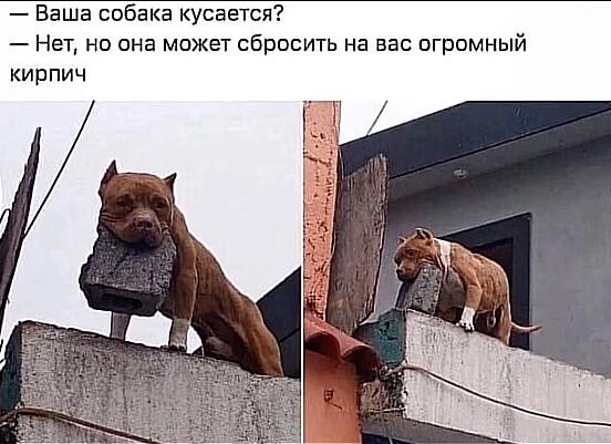 Мем от саня4оус