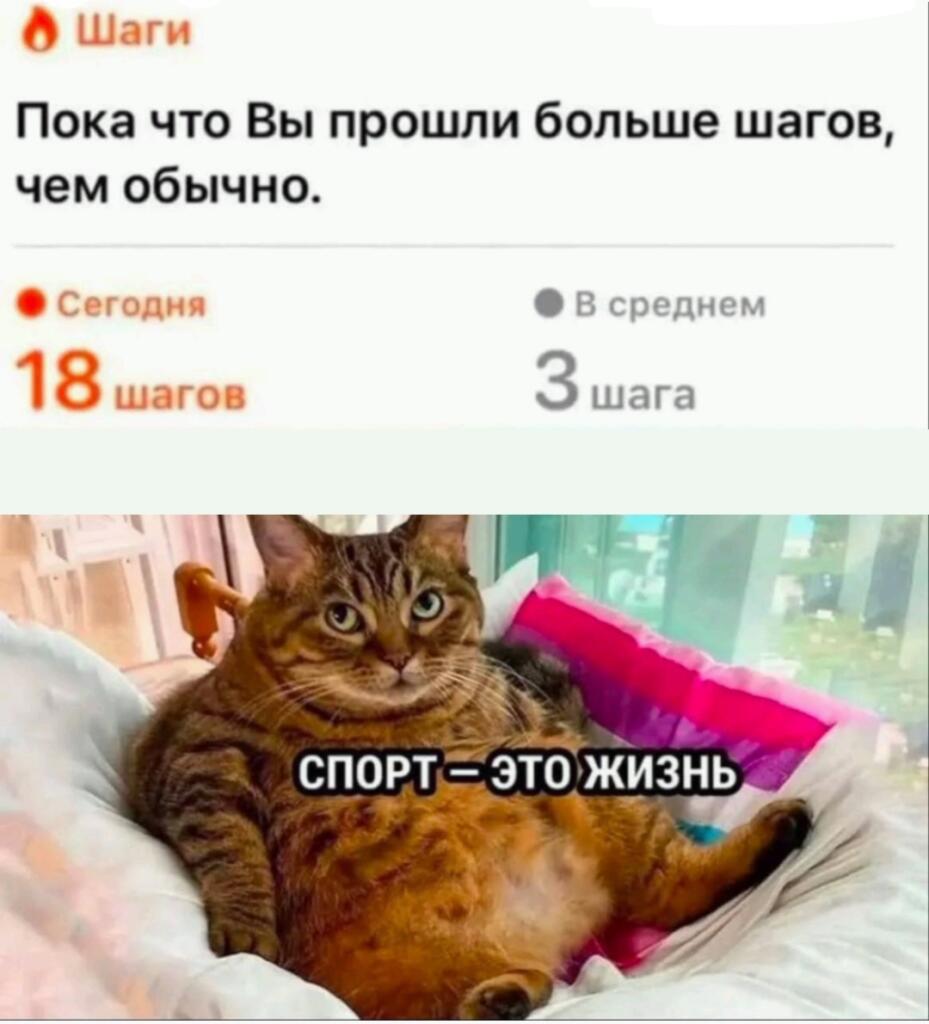 Мем без подписи