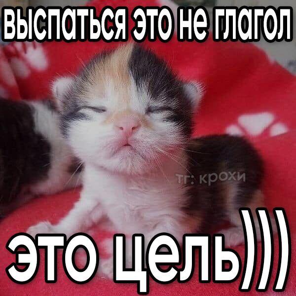 ленивая зёпка