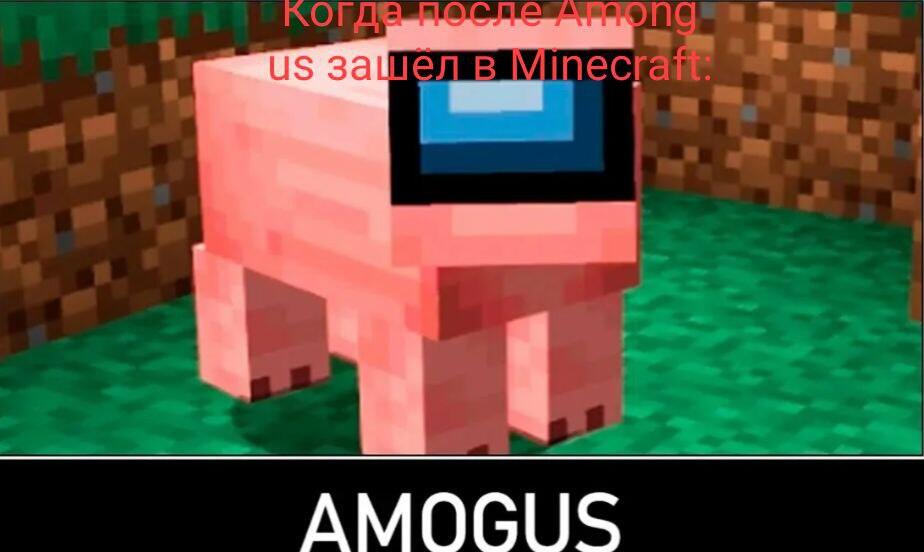 Among SUS: