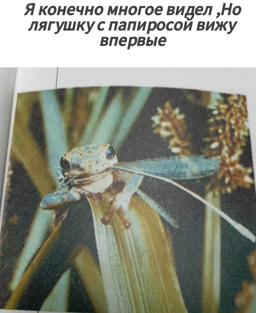 §