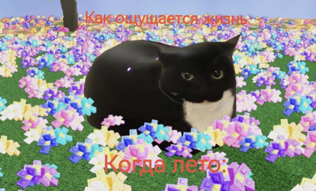 Жыза