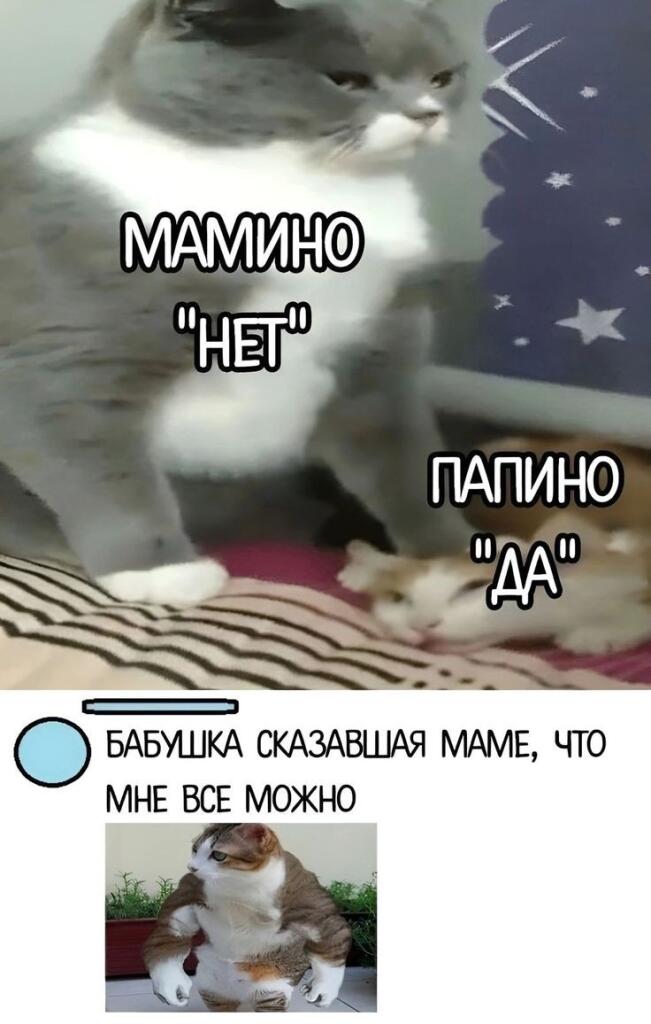 Сила слов