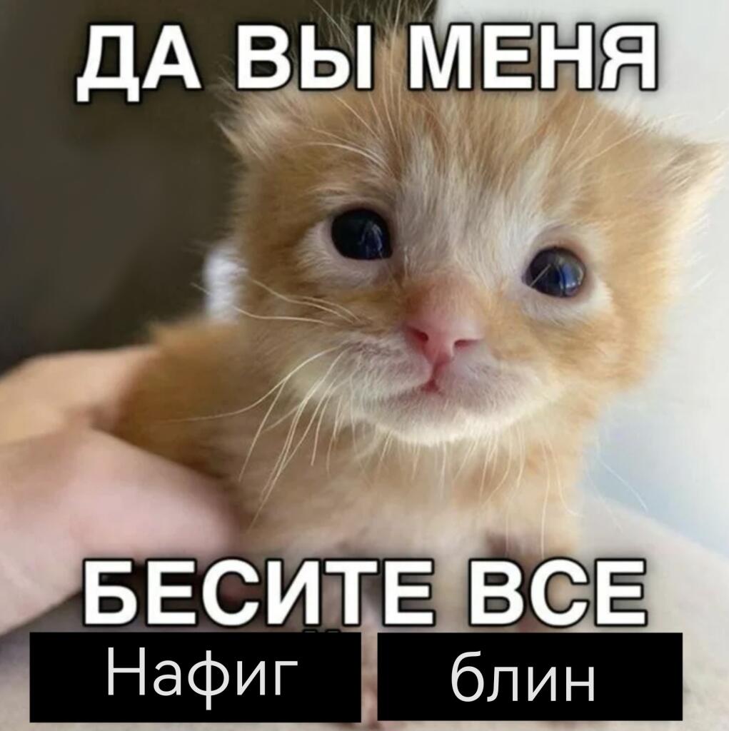 Все утром: идут на прогулку, разговаривают, идут в гости,  Также я утр...