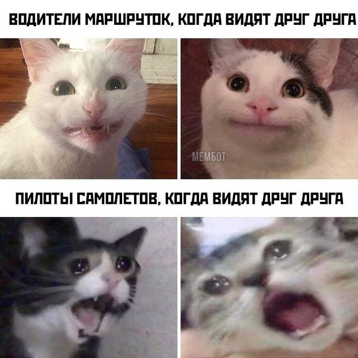 Так оно и есть