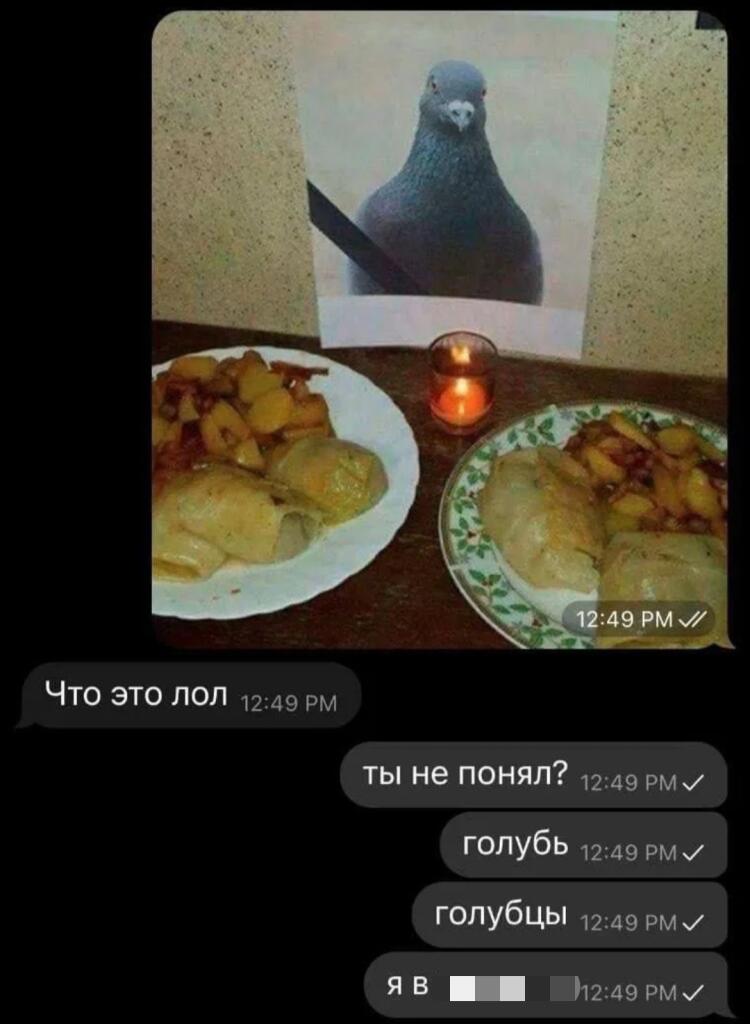 Жалко голубя