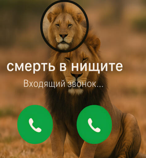 В.А.Моцарт 5 декабря:
кто не шарит, Моцарт - великий, но небогатый композитор. чтобы вы понимали, насколько он виртуоз,