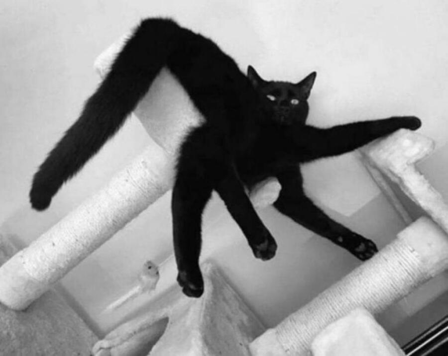 Удачная фотка