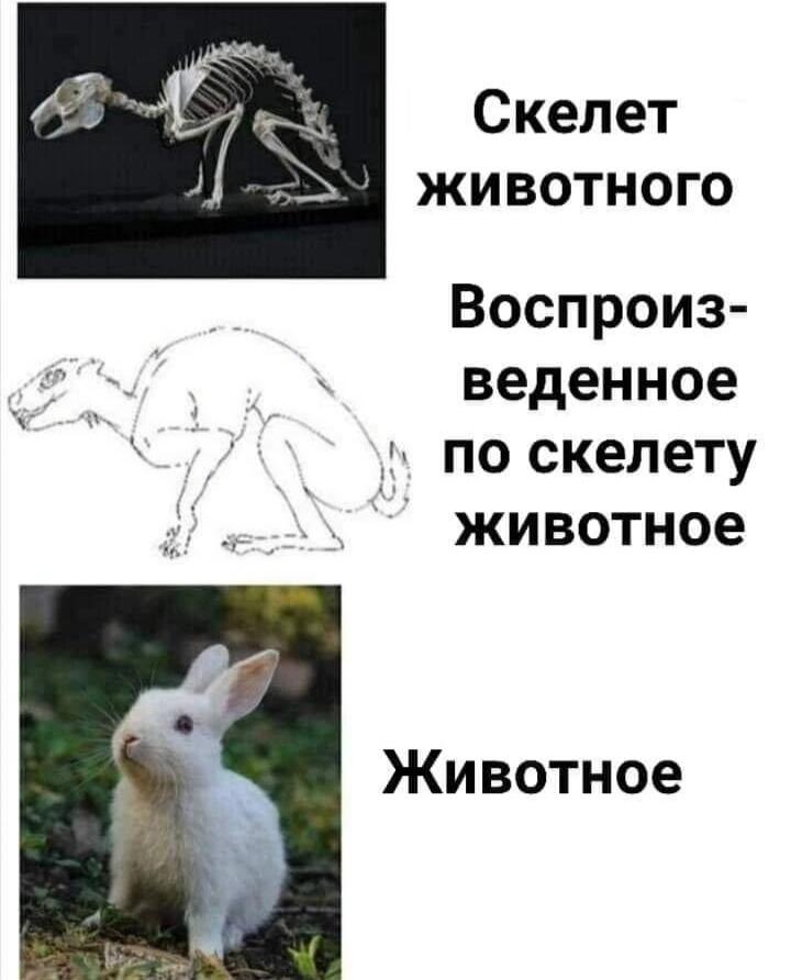 Мем без подписи