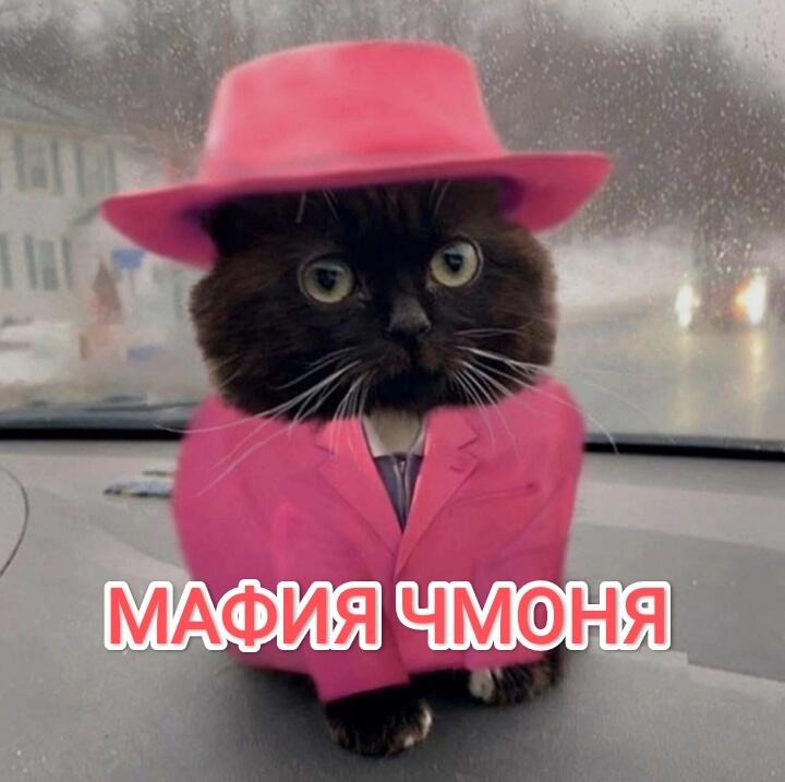 Мем от Хаски на пальме