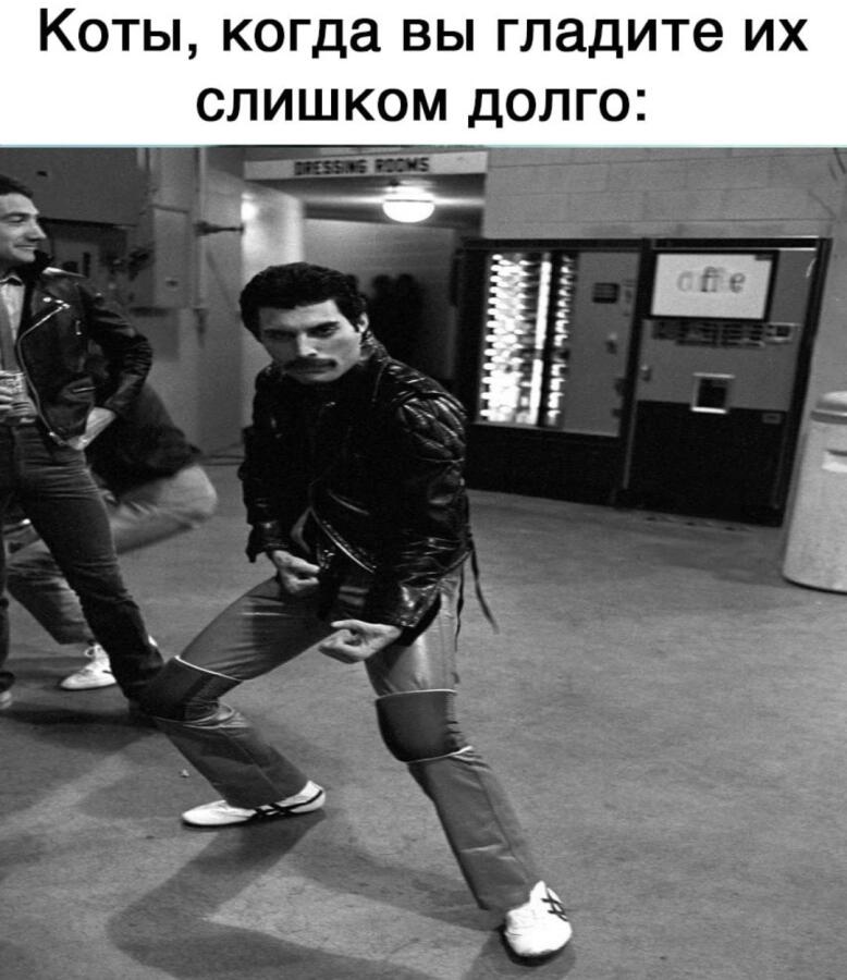 Вот он мастер боевых искусств Фредди Меркьюри