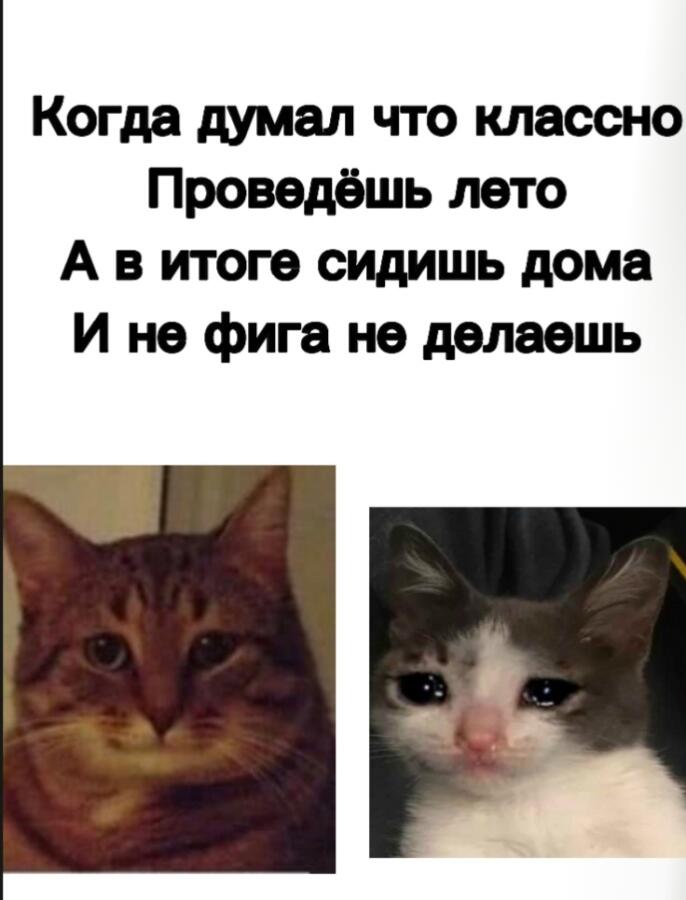 Реальность 
Суровая РЕАЛЬНОСТЬ