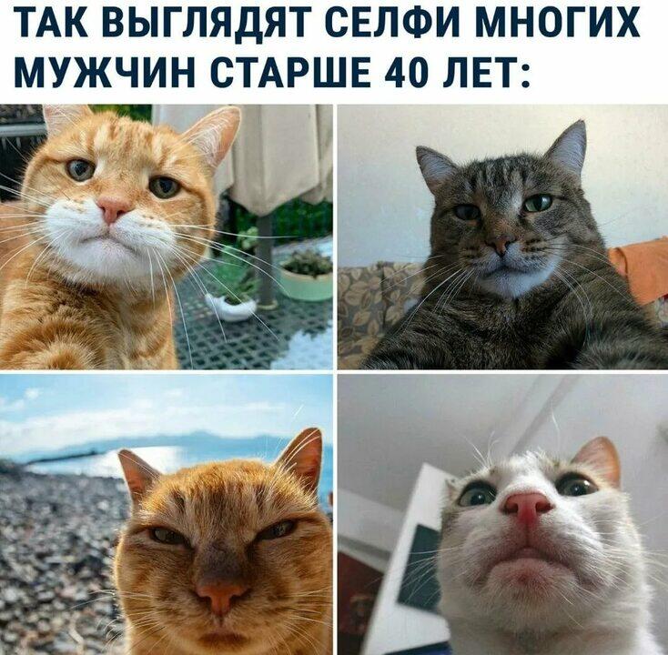 И это правда