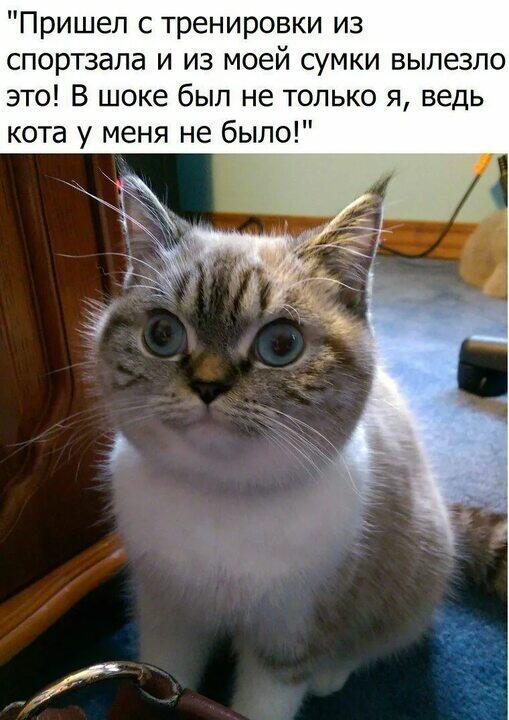 Хорошо сходил на тренировку!
