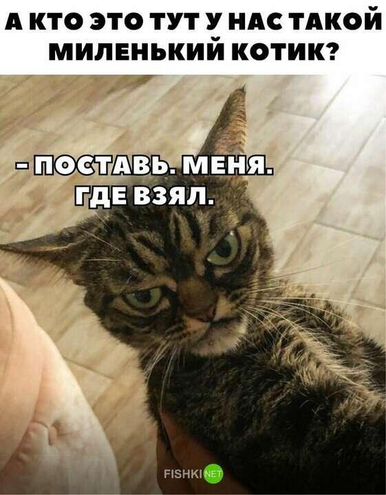 Поставь меня, где взял!
