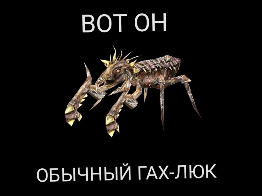 олд мем