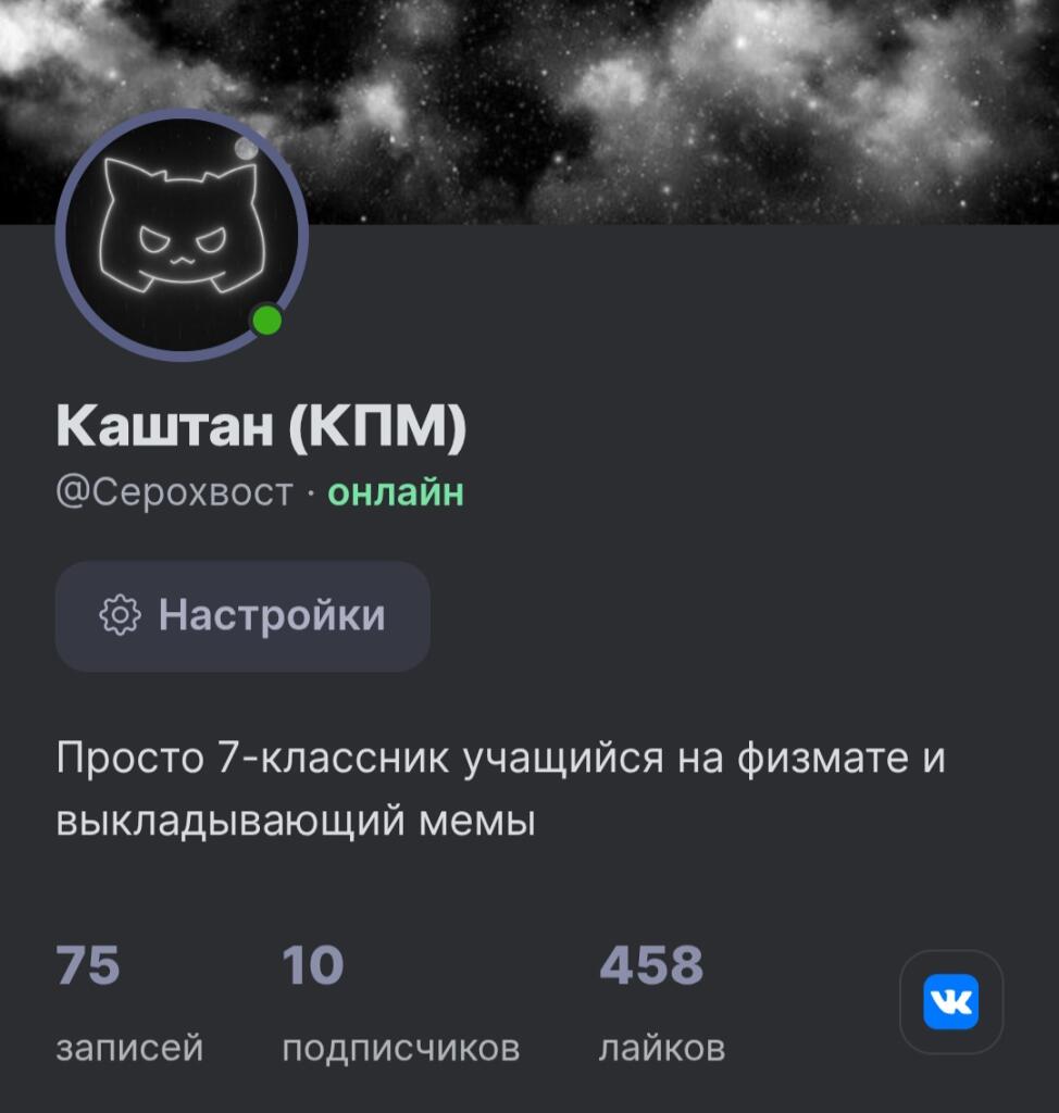 Скриншот профиля пользователя Каштан с 10 подписчиками и 458 лайками