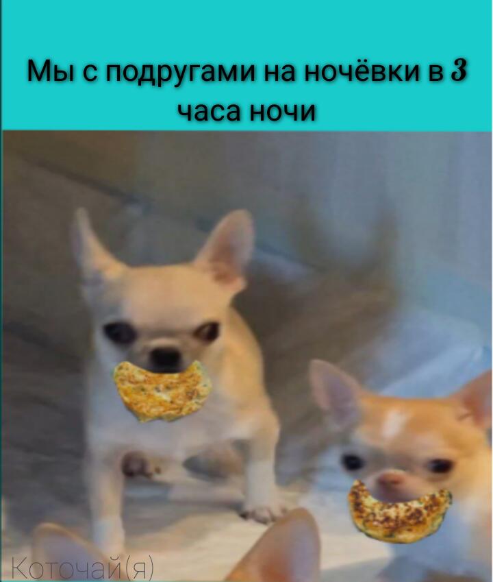 Мем от Коточай