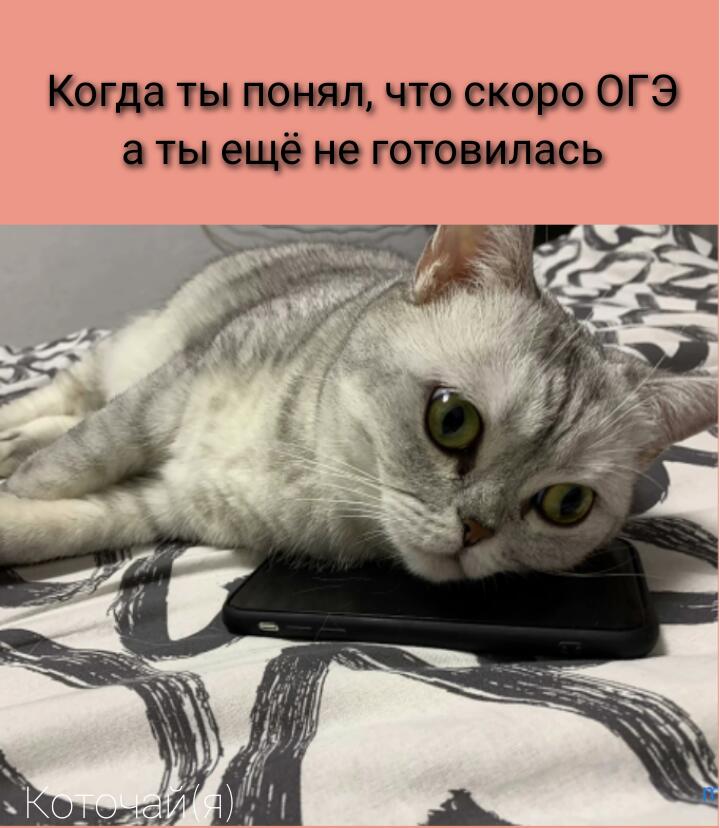 Силя очень милая