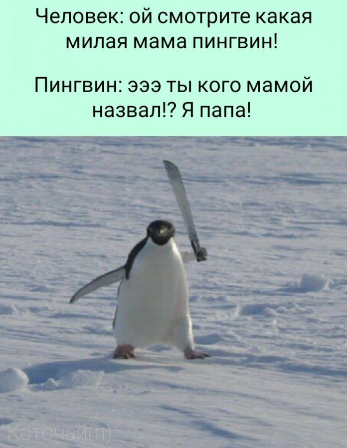 Авторские мемы (кроме самого первого)