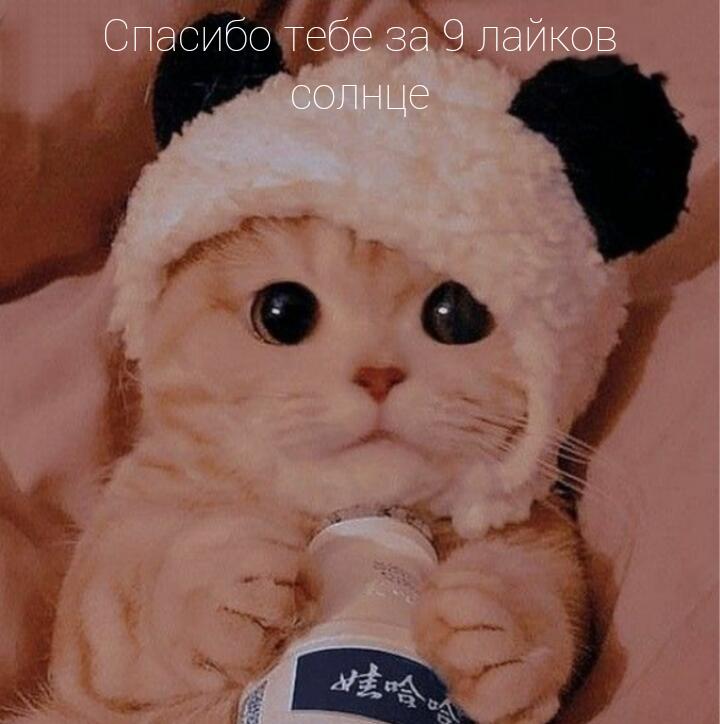 Спасибо!!! 💜