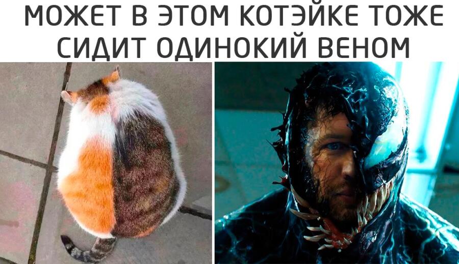 Может быть