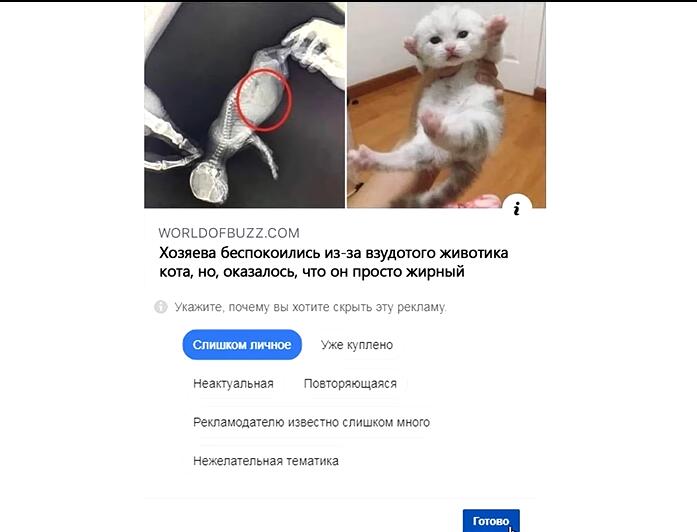 Текст