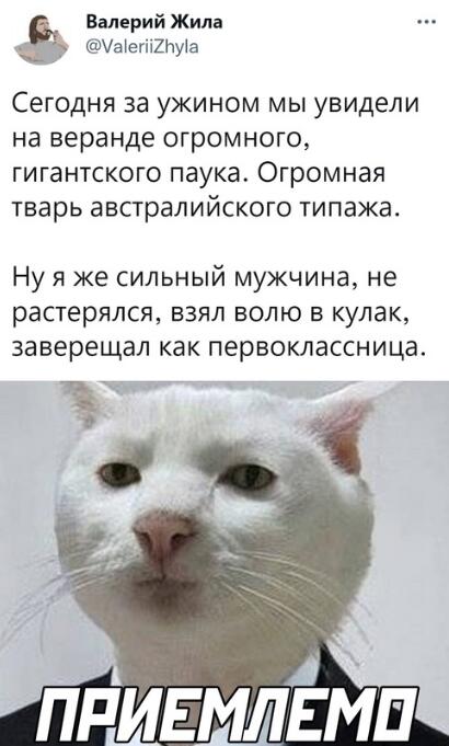 Мем от 4elbyre4ek
