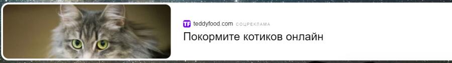 чего смотрите.... покормите своего котика!