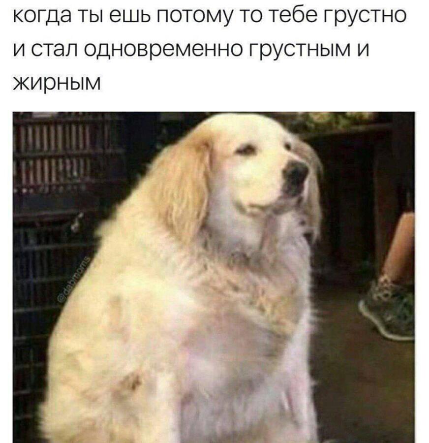 Мем без подписи
